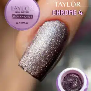 Taylor CHROME 4